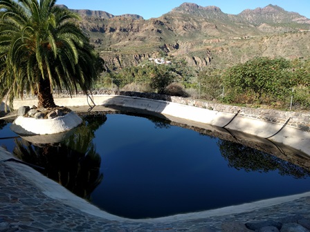 Agua tratada en Sistema de Depuración Natural de Santa Lucía, ejemplo de sistema integrado y basado en la naturaleza